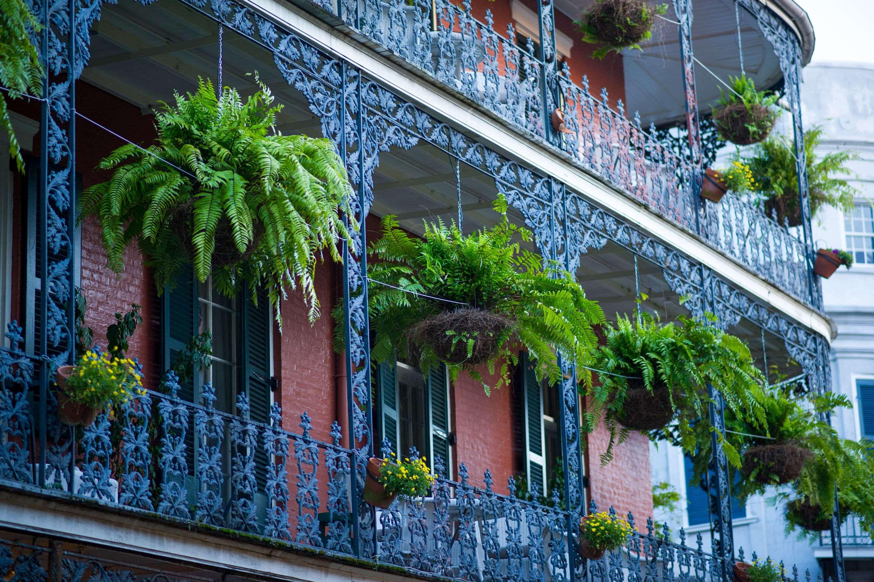 Frenchmen Orleans At 519, Ascend Hotel Collection Nova Orleães Exterior foto